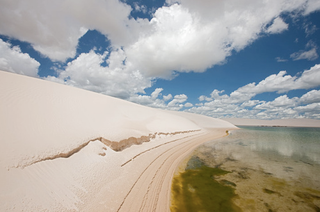 Illustration for article titled Brazilian park reveals what happened when the rains finally came to Dune